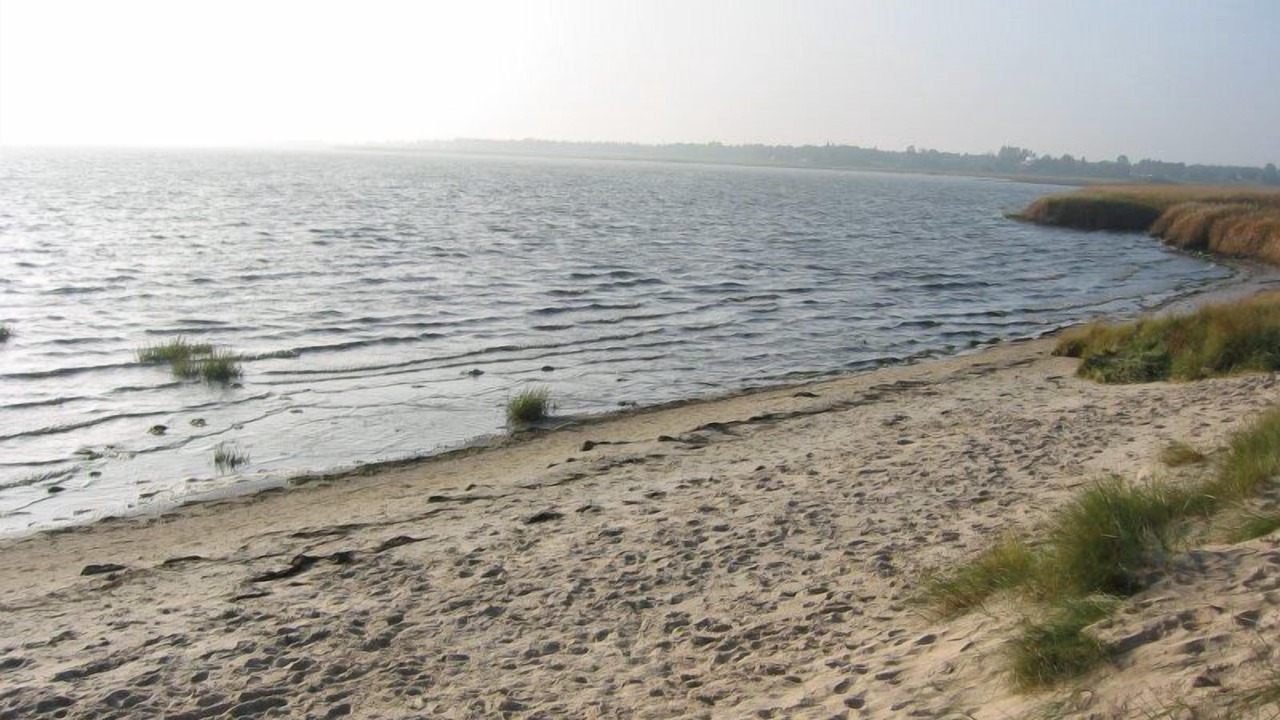 Photo of Others in Rømø Kirkeby