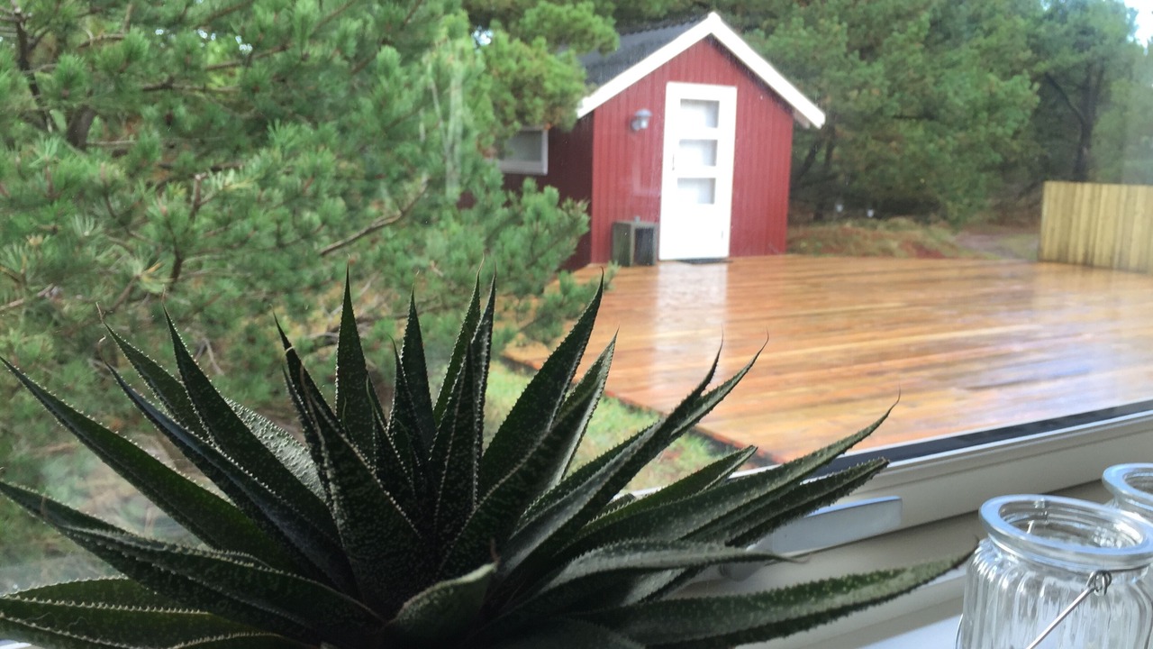 Photo of Outdoor in Rømø Kirkeby