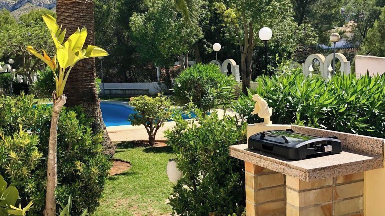 Photo of Others in Denia