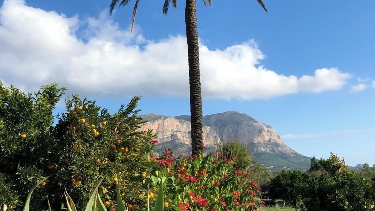 Photo of Others in Denia