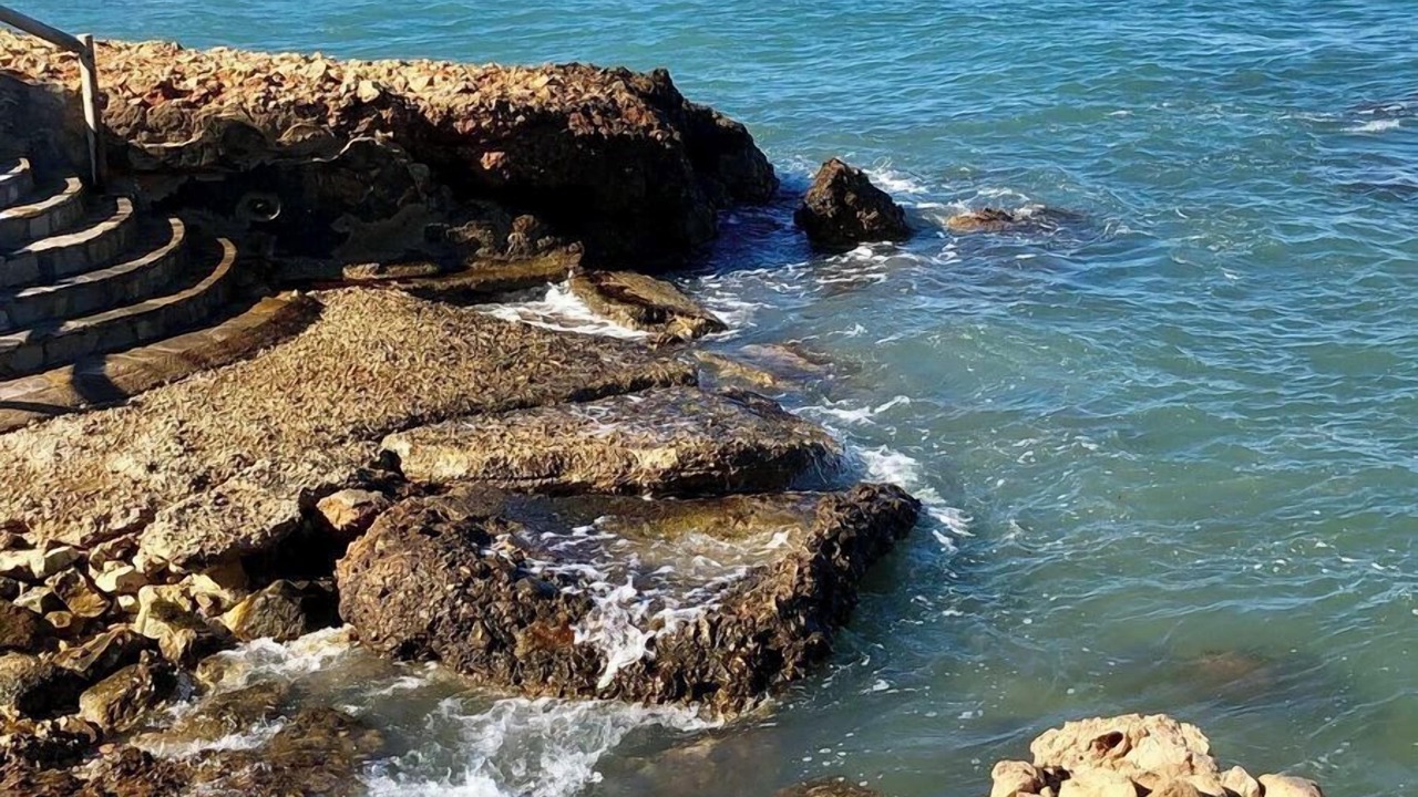 Photo of Others in Denia