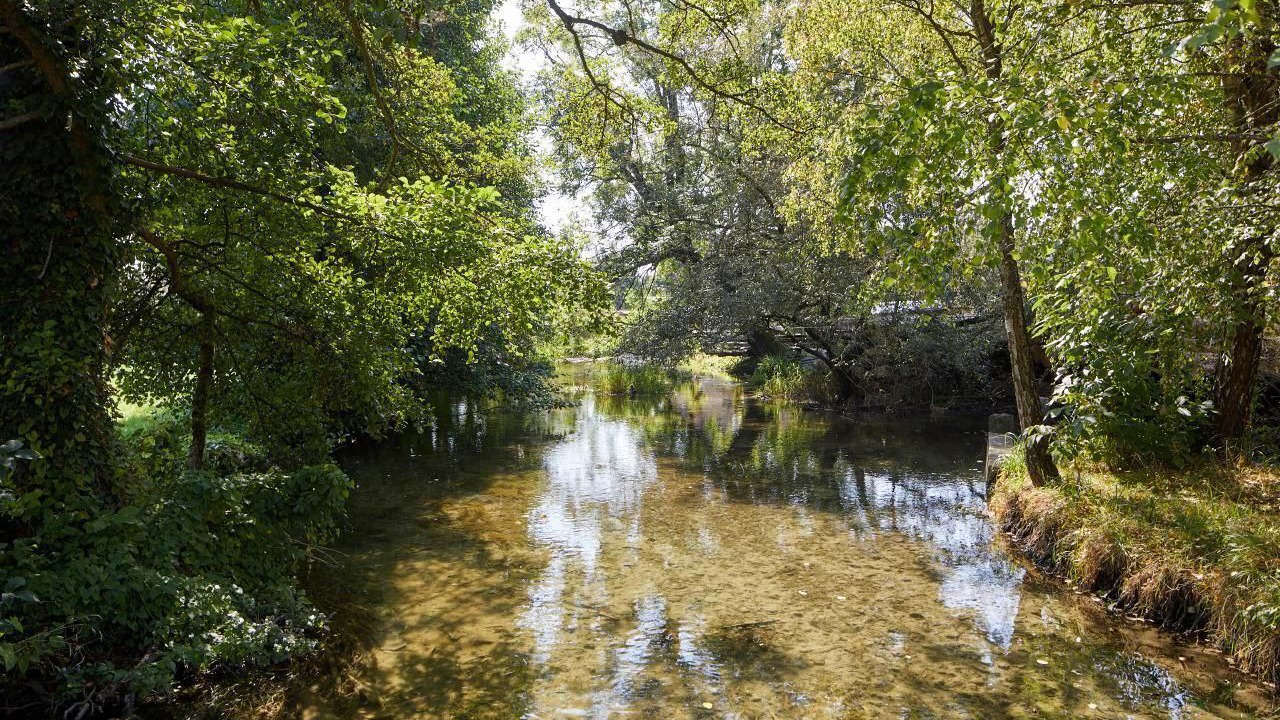 Photo of Others in Ermensee