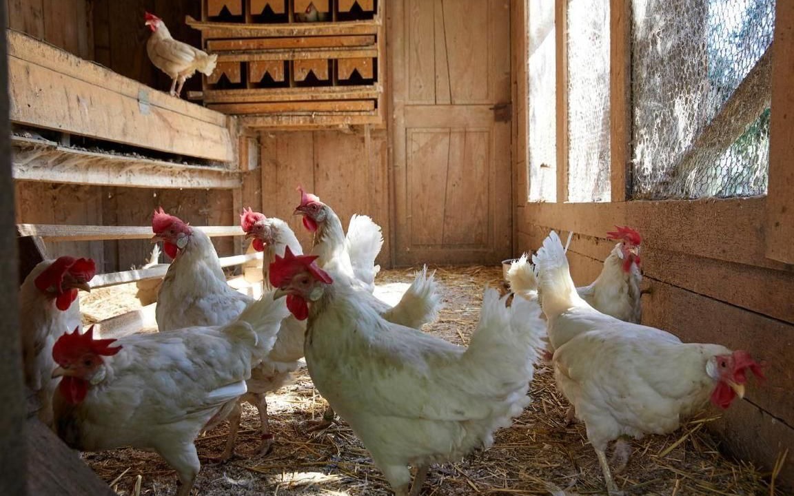 Photo of Others in Ermensee