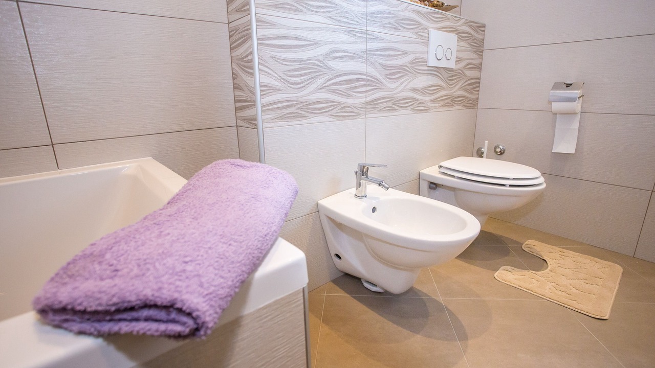 Photo of Bathroom in Brecevici