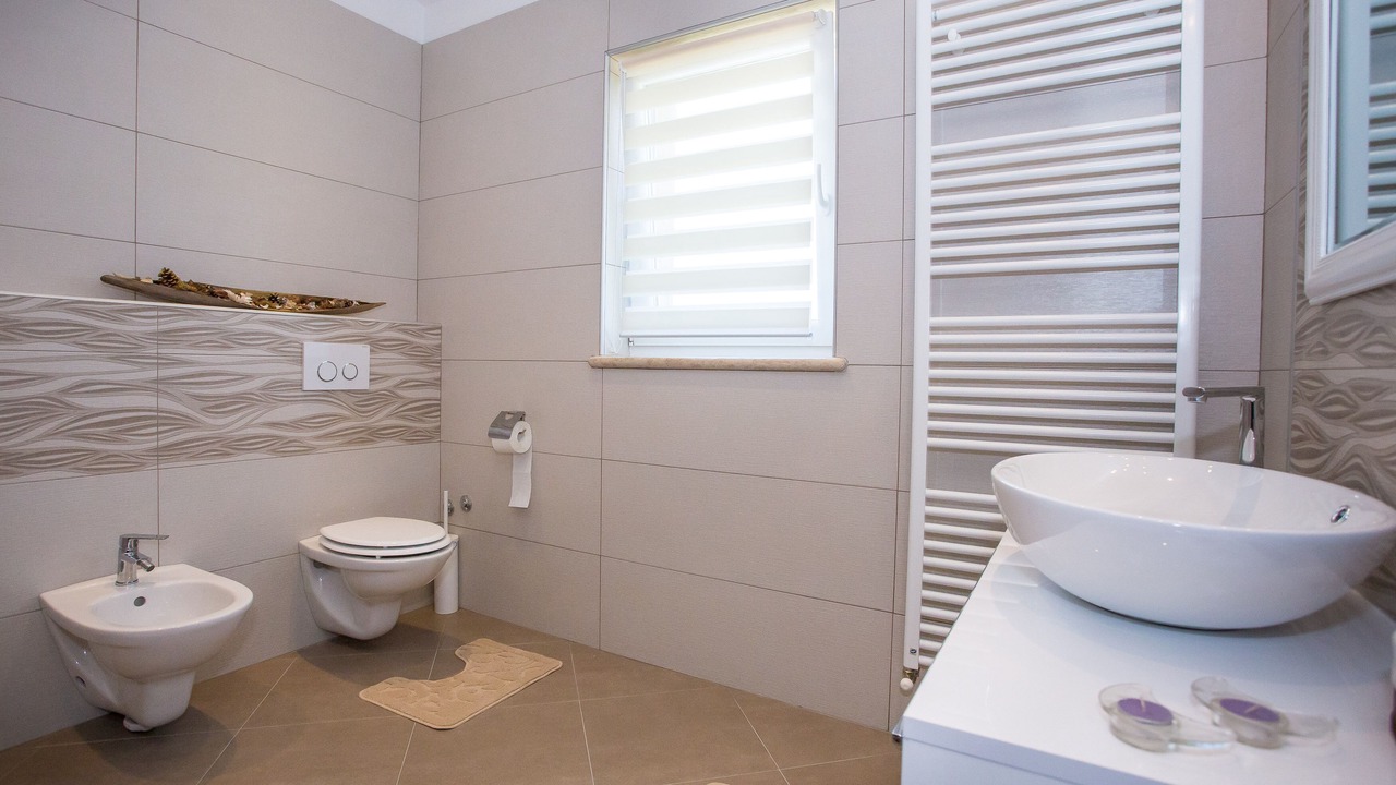 Photo of Bathroom in Brecevici