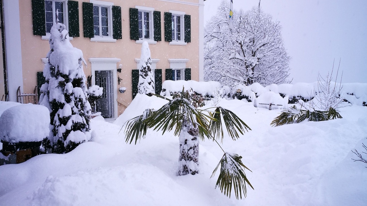 Photo of Outdoor in Waltensburg/Vuorz