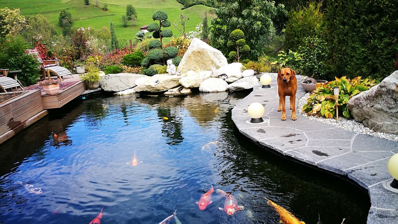 Photo of Outdoor in Waltensburg/Vuorz