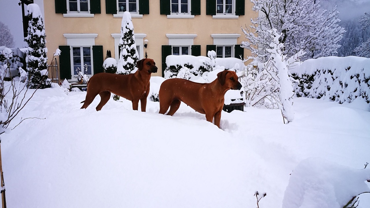 Photo of Outdoor in Waltensburg/Vuorz