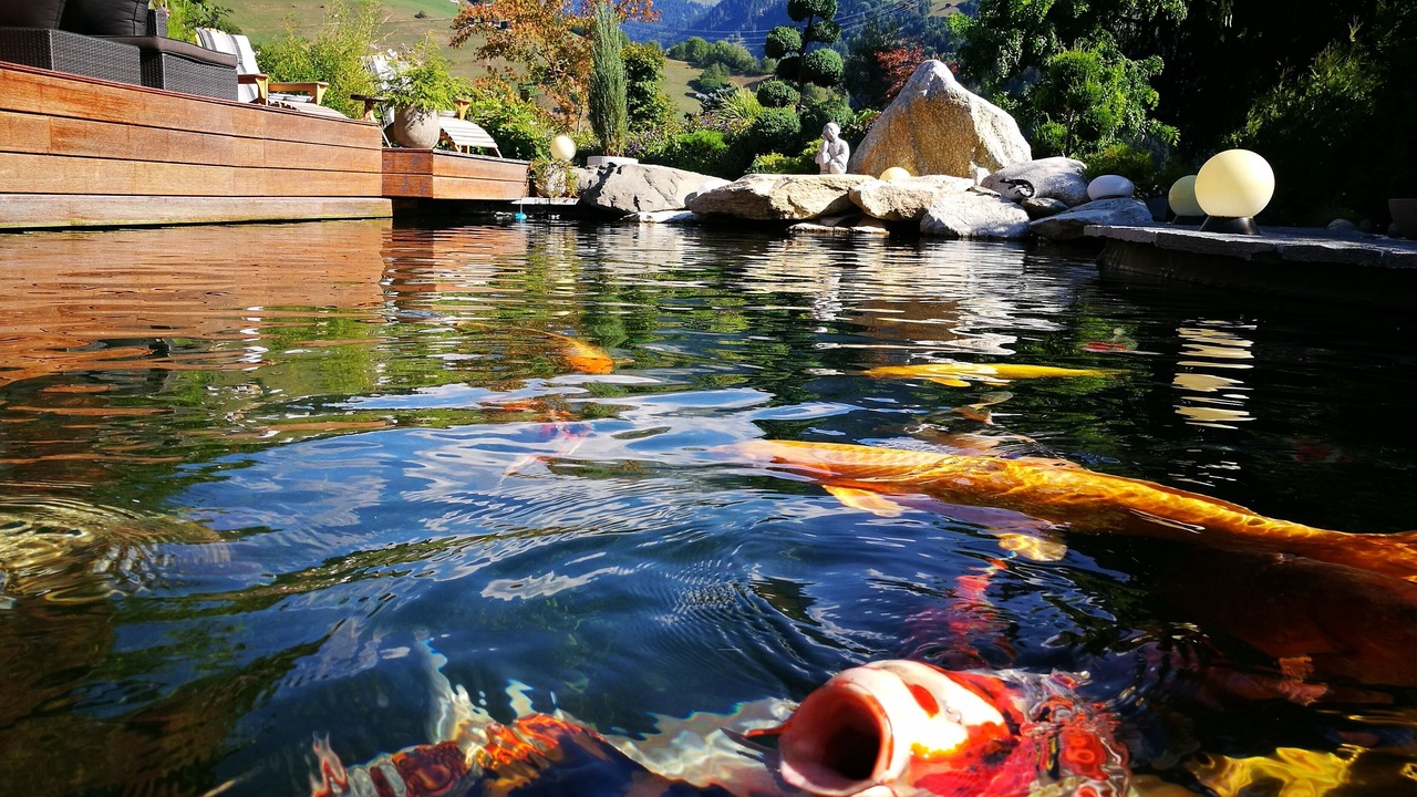Photo of Outdoor in Waltensburg/Vuorz