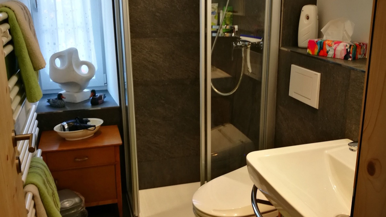 Photo of Bathroom in Waltensburg/Vuorz