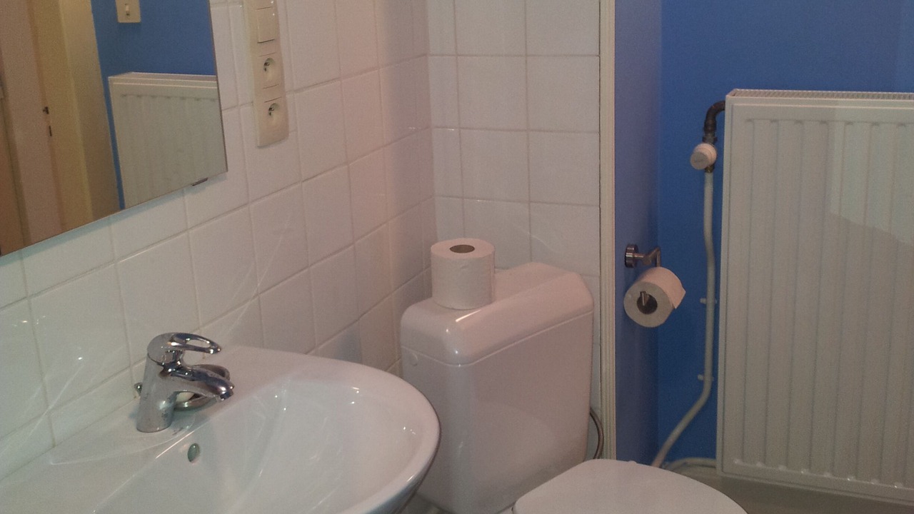 Photo of Bathroom in Xonrupt-Longemer