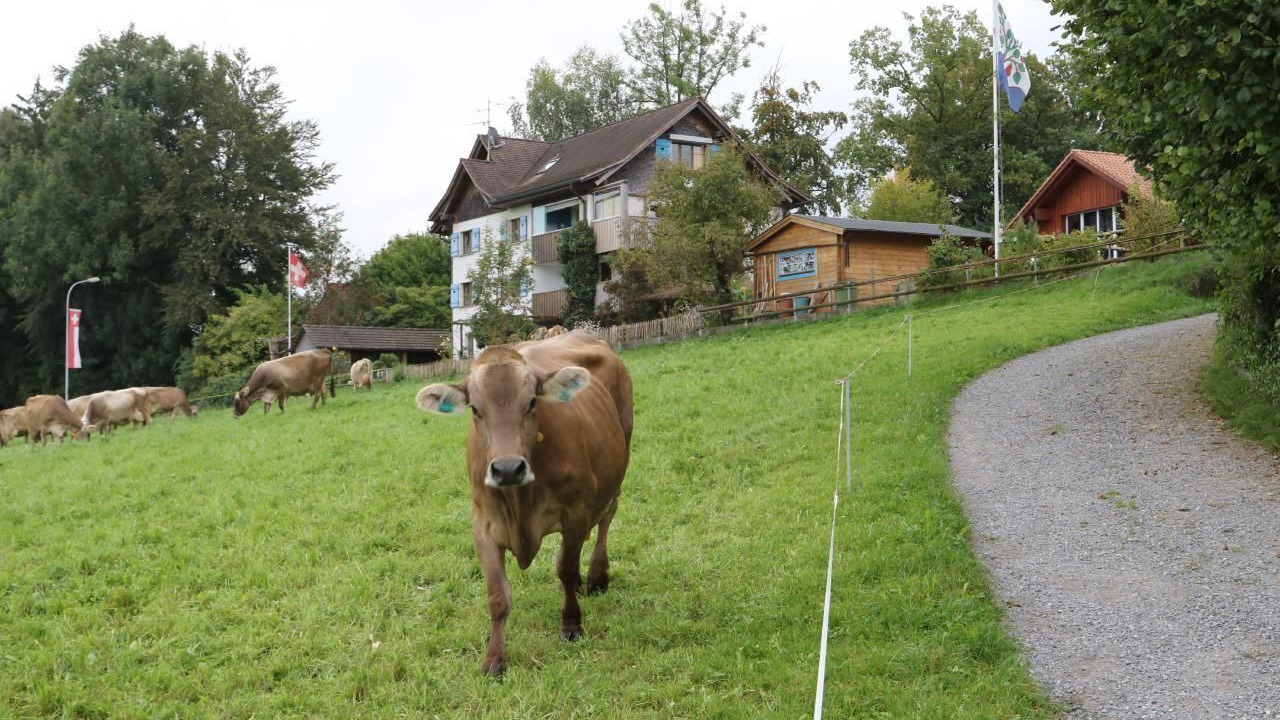 Photo of Others in Egnach