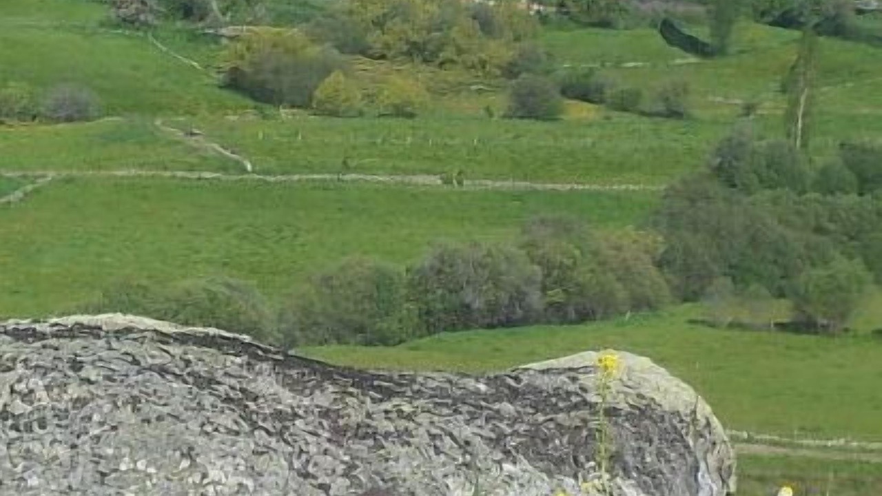 Photo of Others in Hoyos del Collado