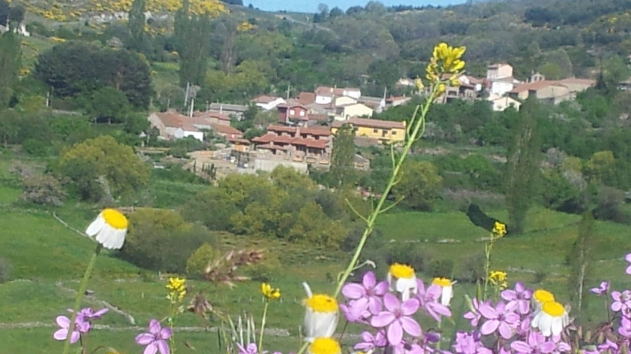 Photo of Outdoor in Hoyos del Collado