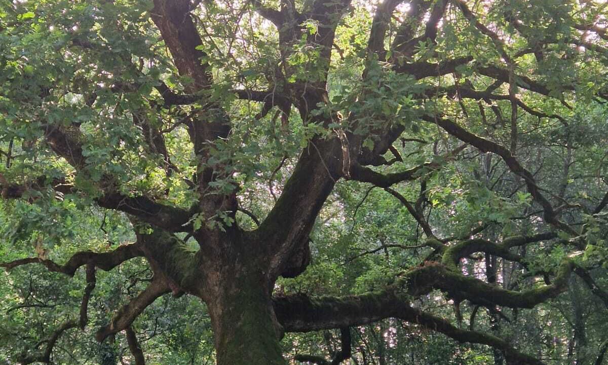 Photo of Outdoor in Grand Valinco