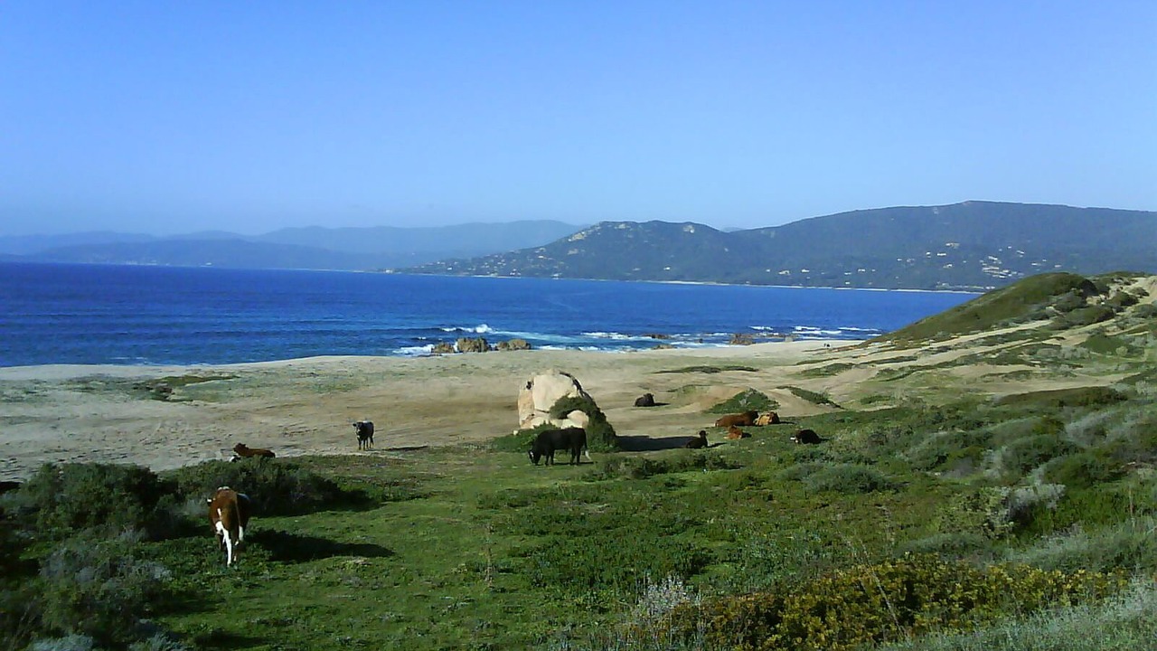 Photo of Others in Grand Valinco