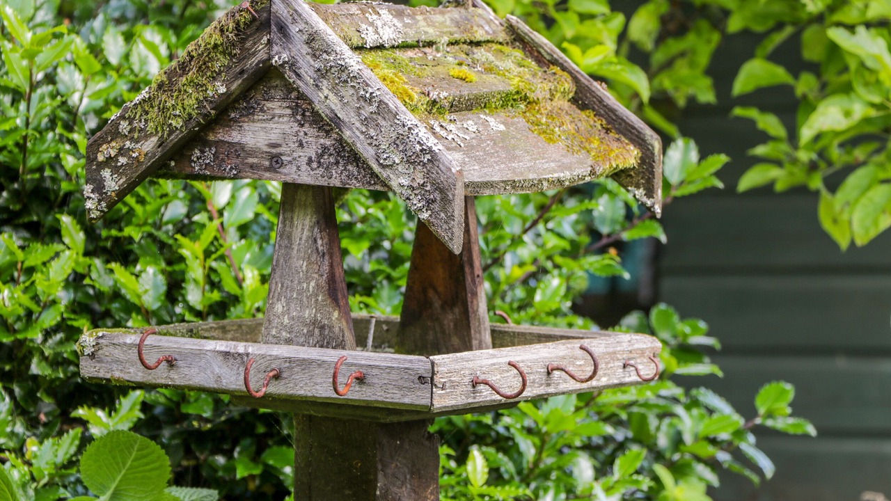 Photo of Outdoor in Kingussie