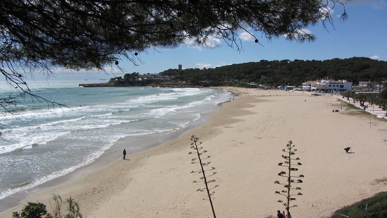 Photo of Others in Tamarit