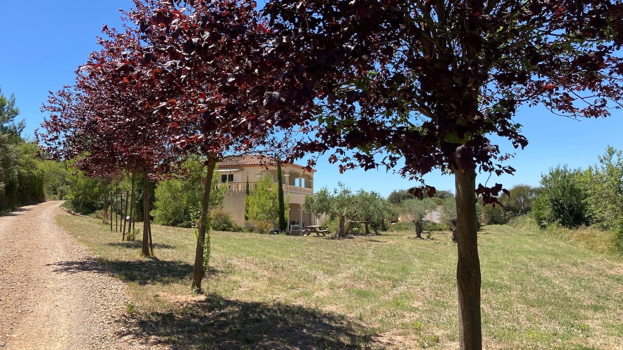 Photo of Others in Montbrun-des-Corbieres