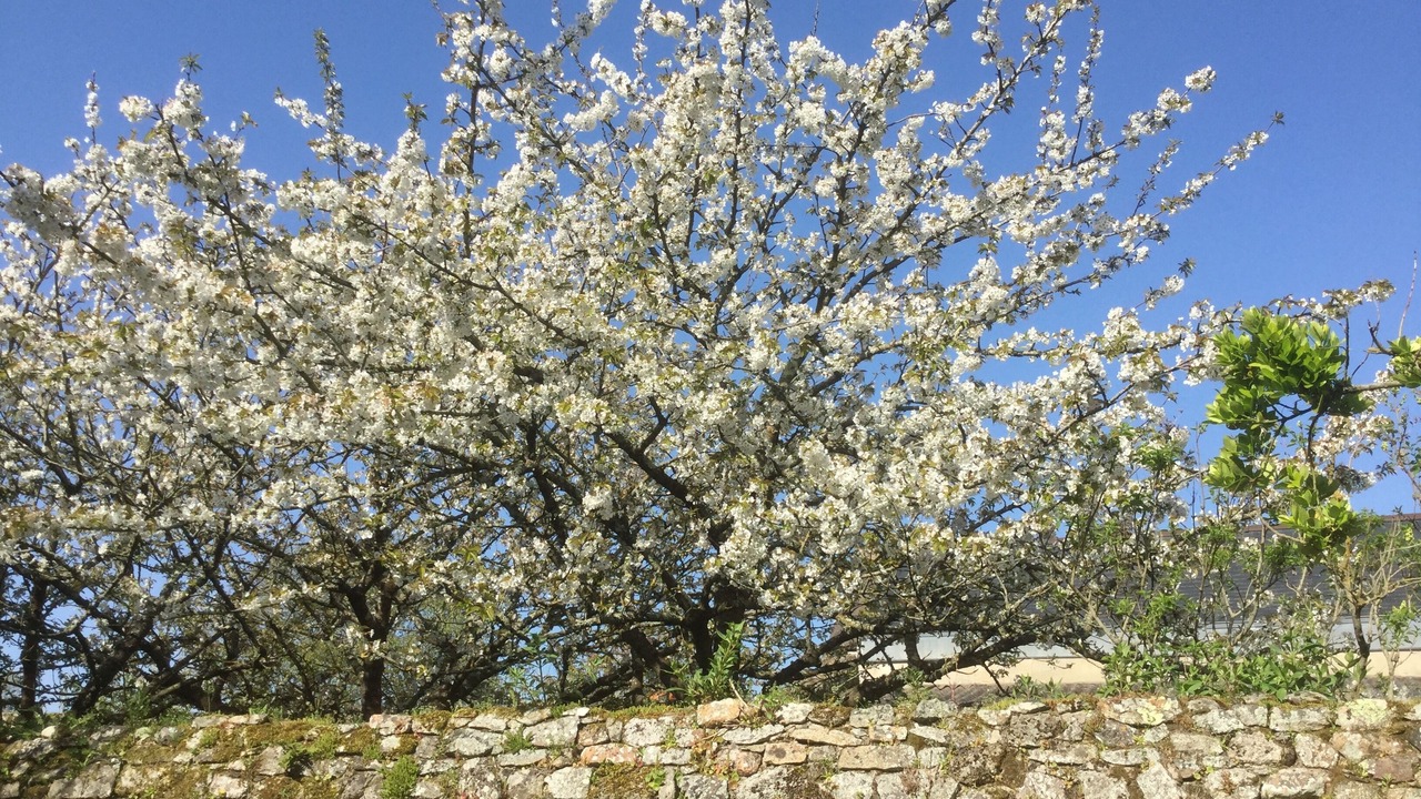 Photo of Outdoor in Le Croisic