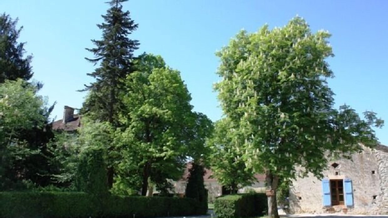 Photo of Outdoor in Roquecor