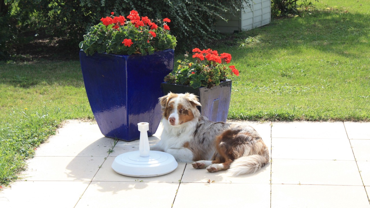 Photo of Outdoor in Roquecor