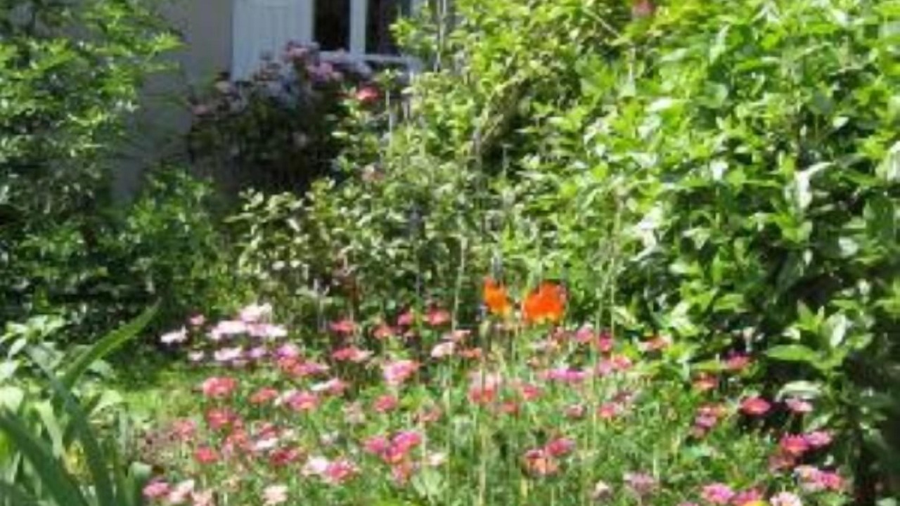 Photo of Outdoor in Plobannalec-Lesconil