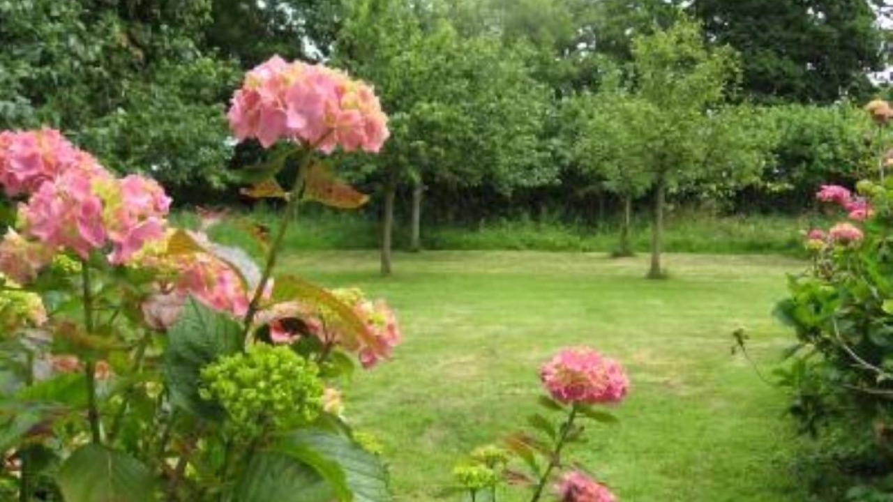 Photo of Outdoor in Plobannalec-Lesconil