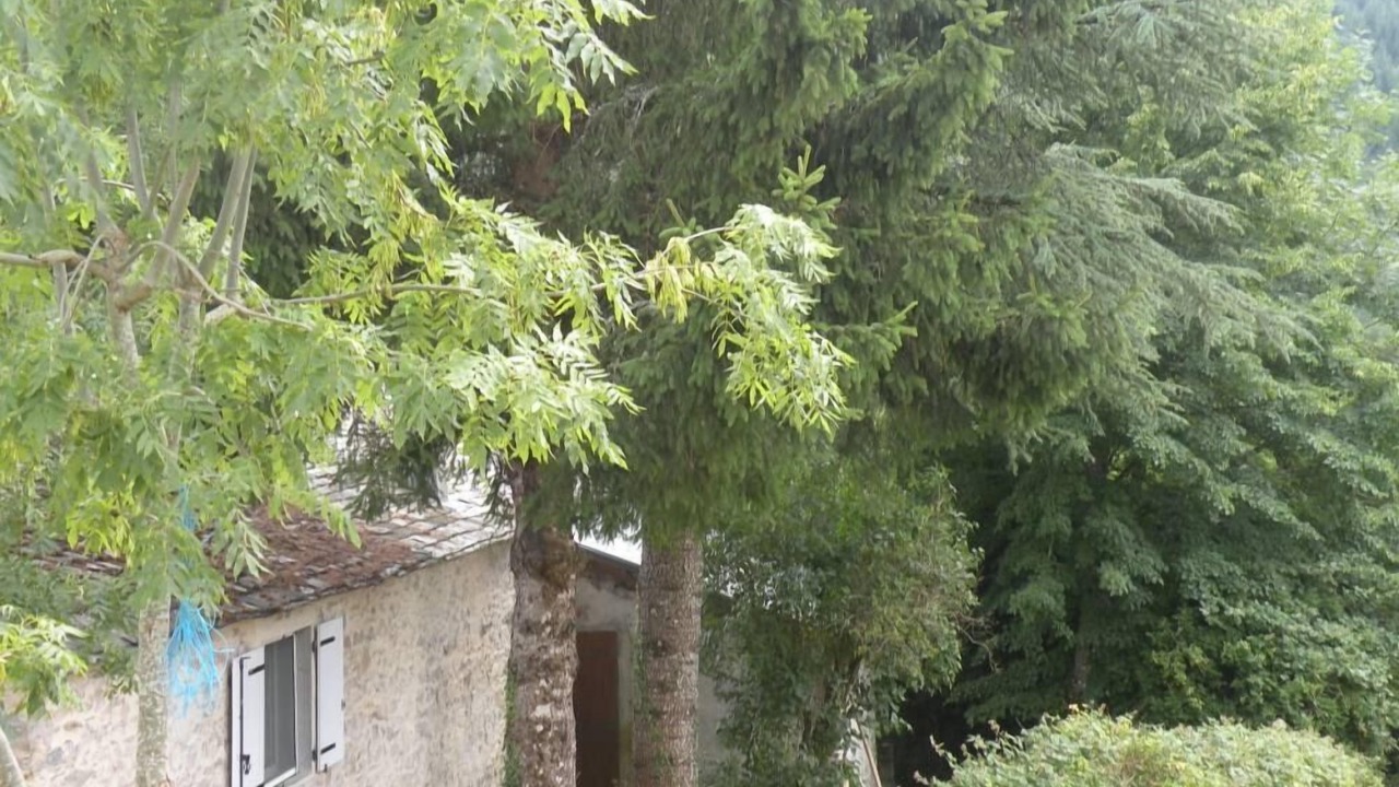 Photo of Outdoor in Castelnau-de-Brassac