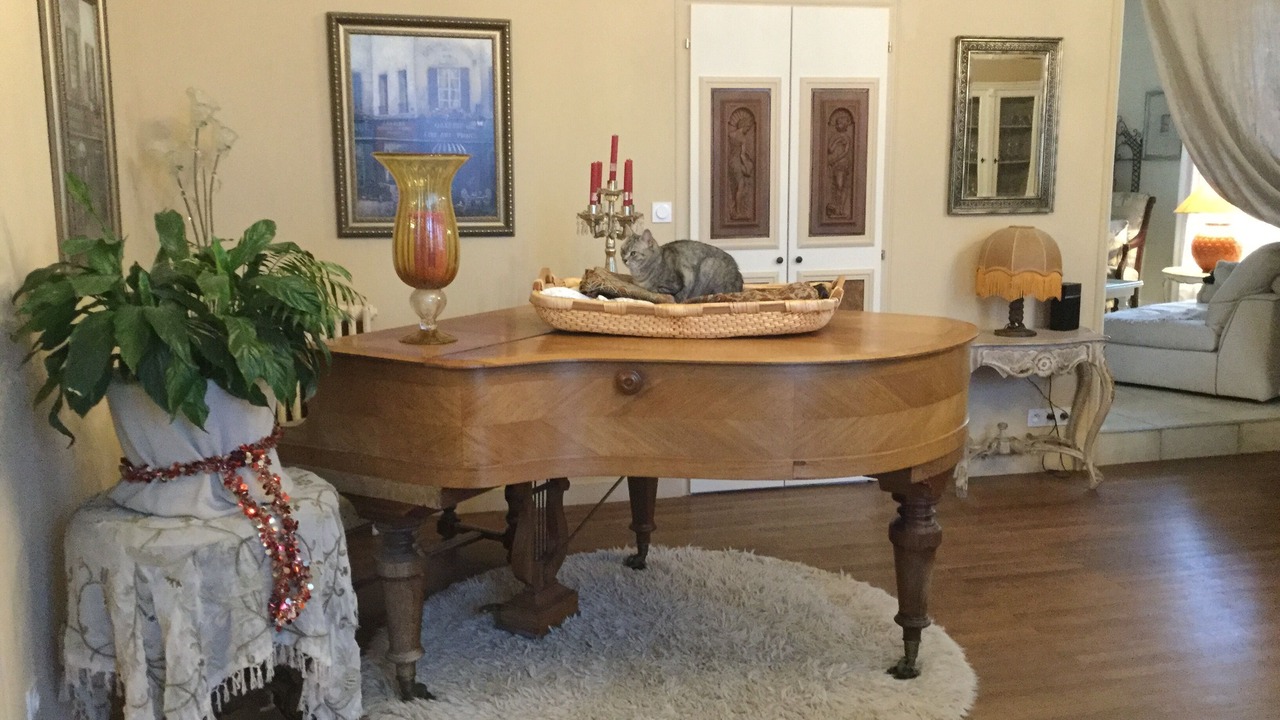 Photo of Others in Noirmoutier-en-l'Ile