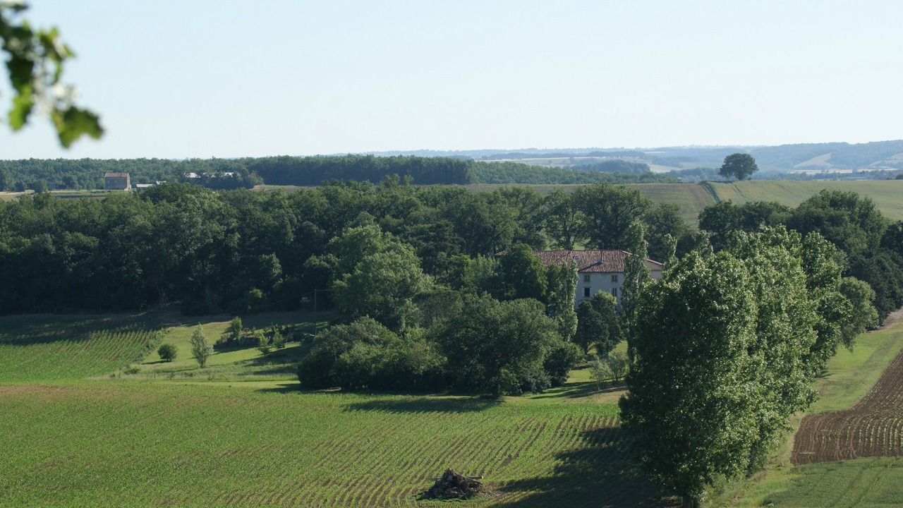 Photo of Others in Venes