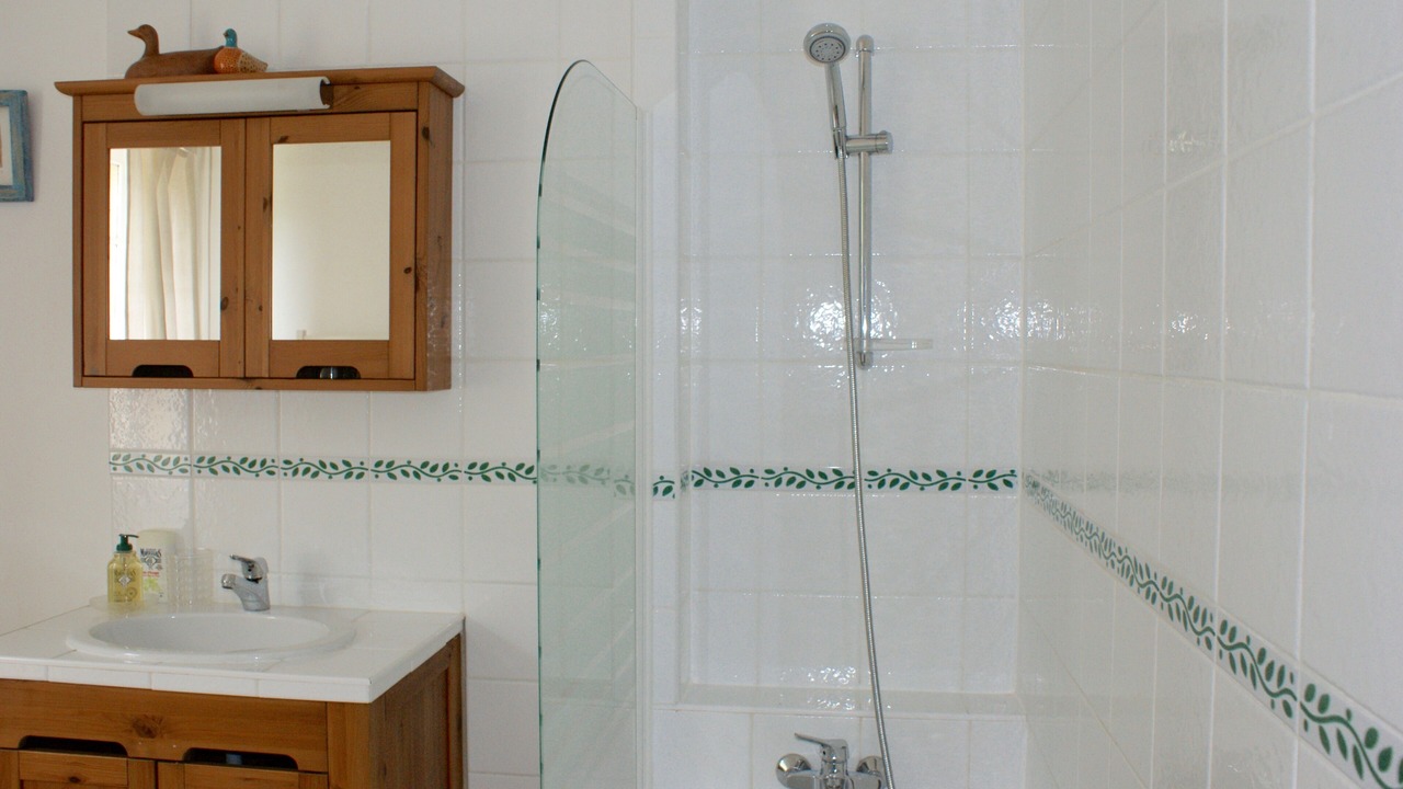Photo of Bathroom in Venes