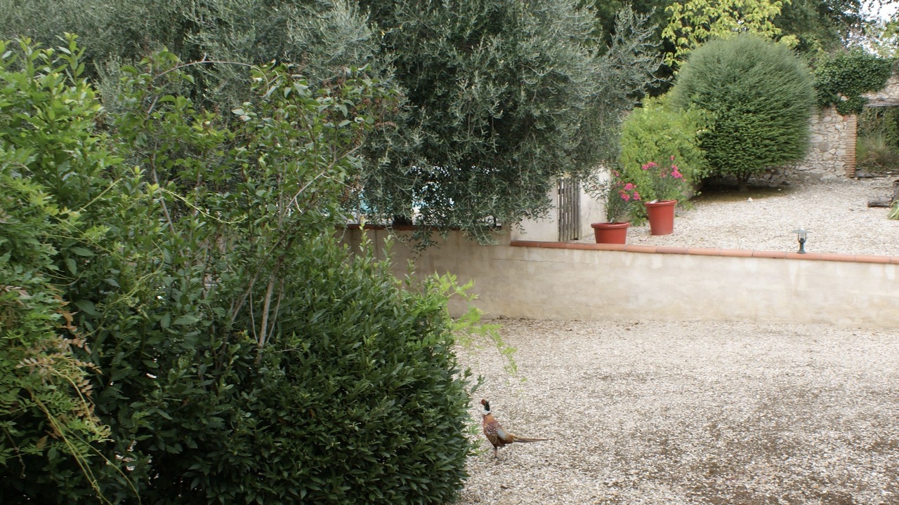 Photo of Others in Venes