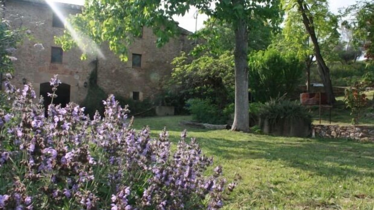 Photo of Outdoor in Vilademuls