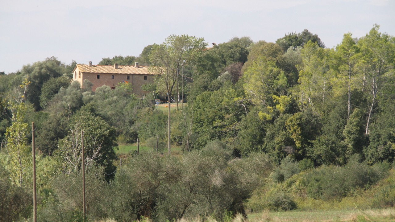 Photo of Outdoor in Vilademuls