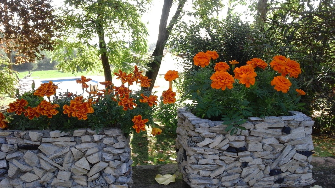 Photo of Outdoor in Vilademuls