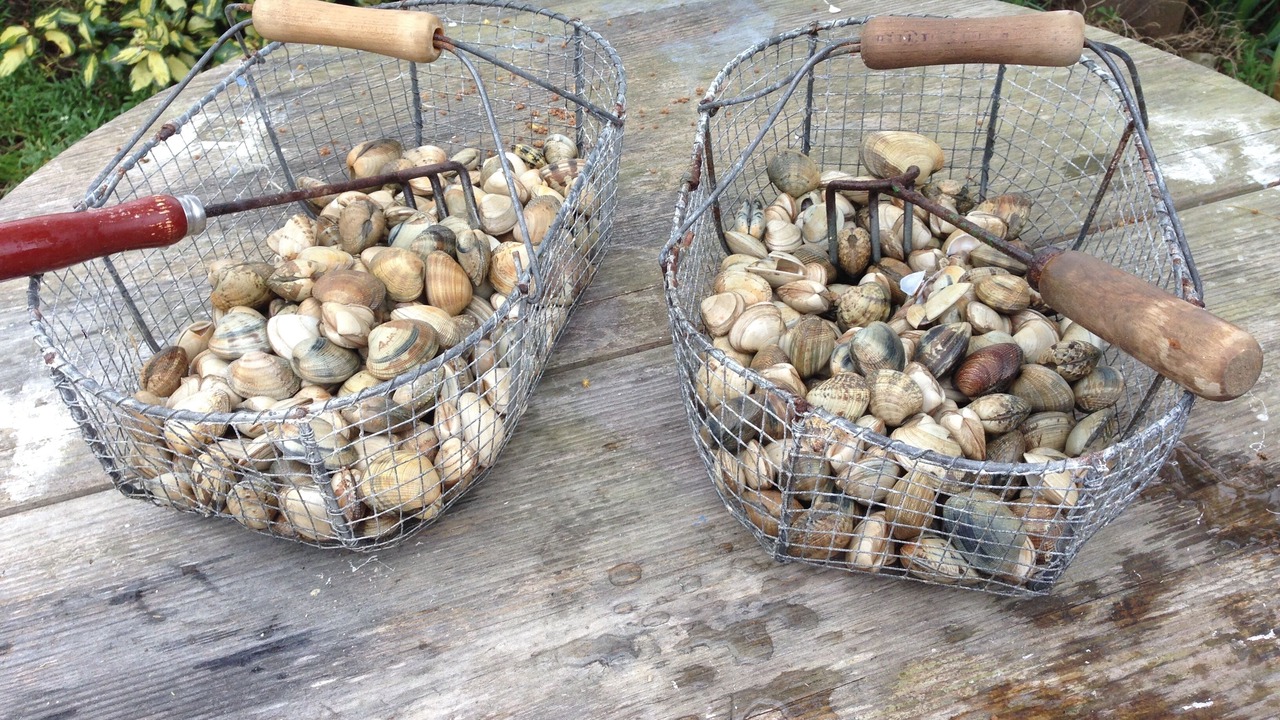 Photo of Others in Noirmoutier-en-l'Ile