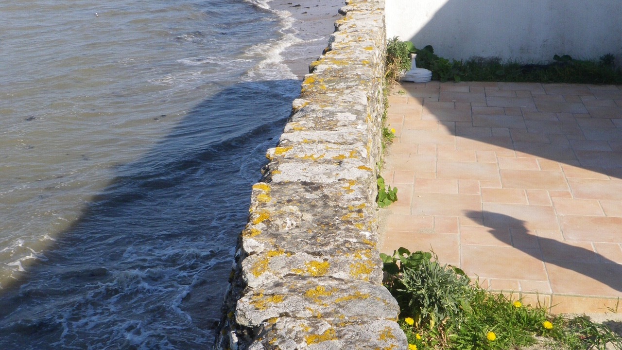 Photo of Others in Noirmoutier-en-l'Ile