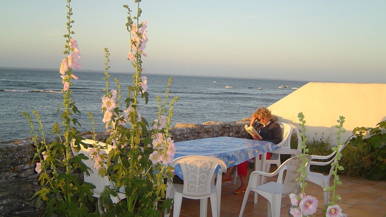 Photo of Outdoor in Noirmoutier-en-l'Ile