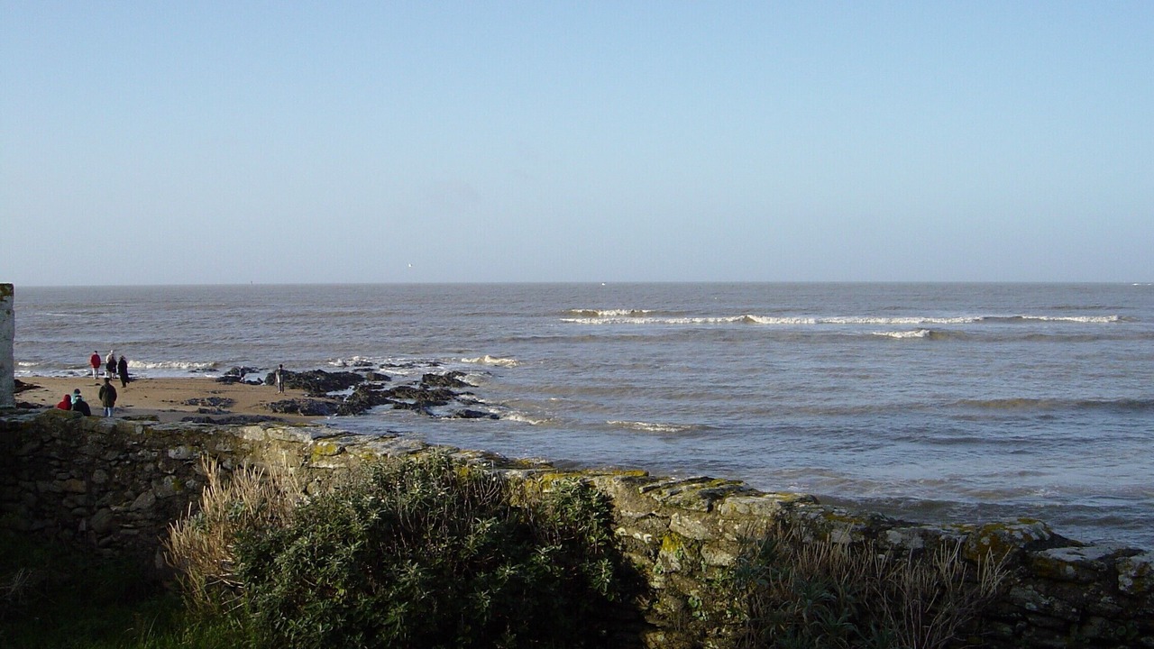 Photo of Others in Noirmoutier-en-l'Ile