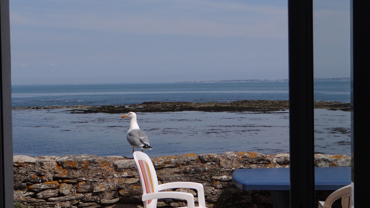 Photo of Others in Noirmoutier-en-l'Ile