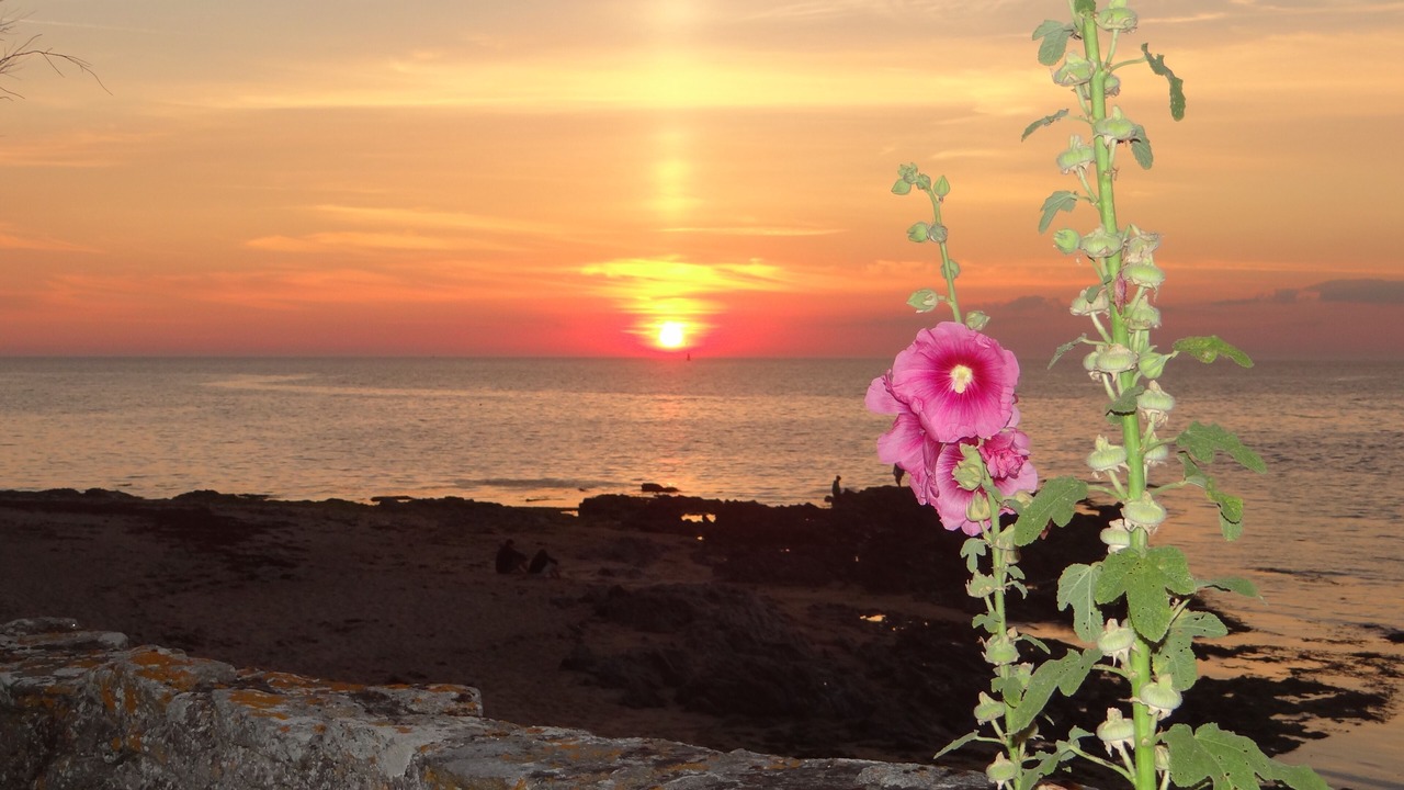 Photo of Others in Noirmoutier-en-l'Ile