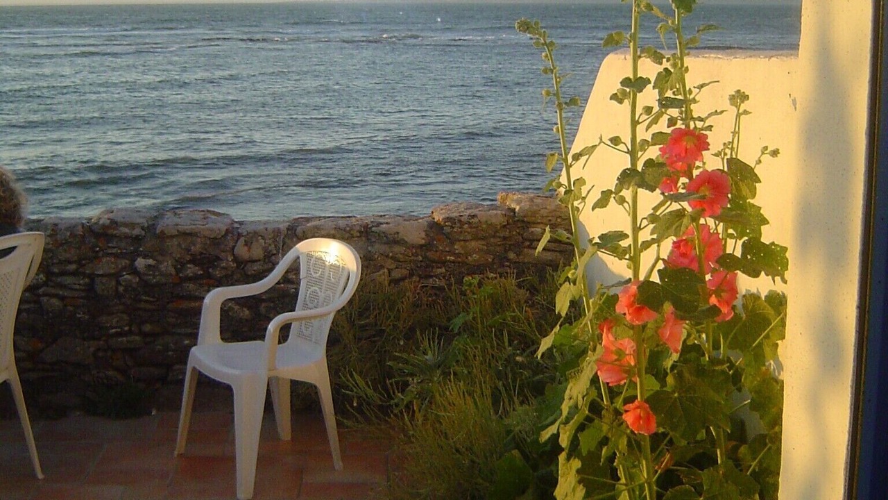 Photo of Outdoor in Noirmoutier-en-l'Ile