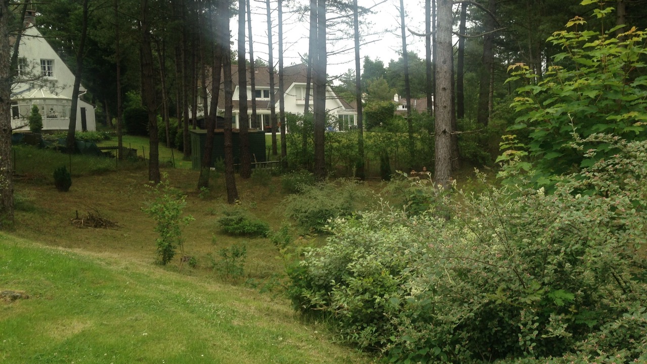 Photo of Outdoor in Hardelot-Plage