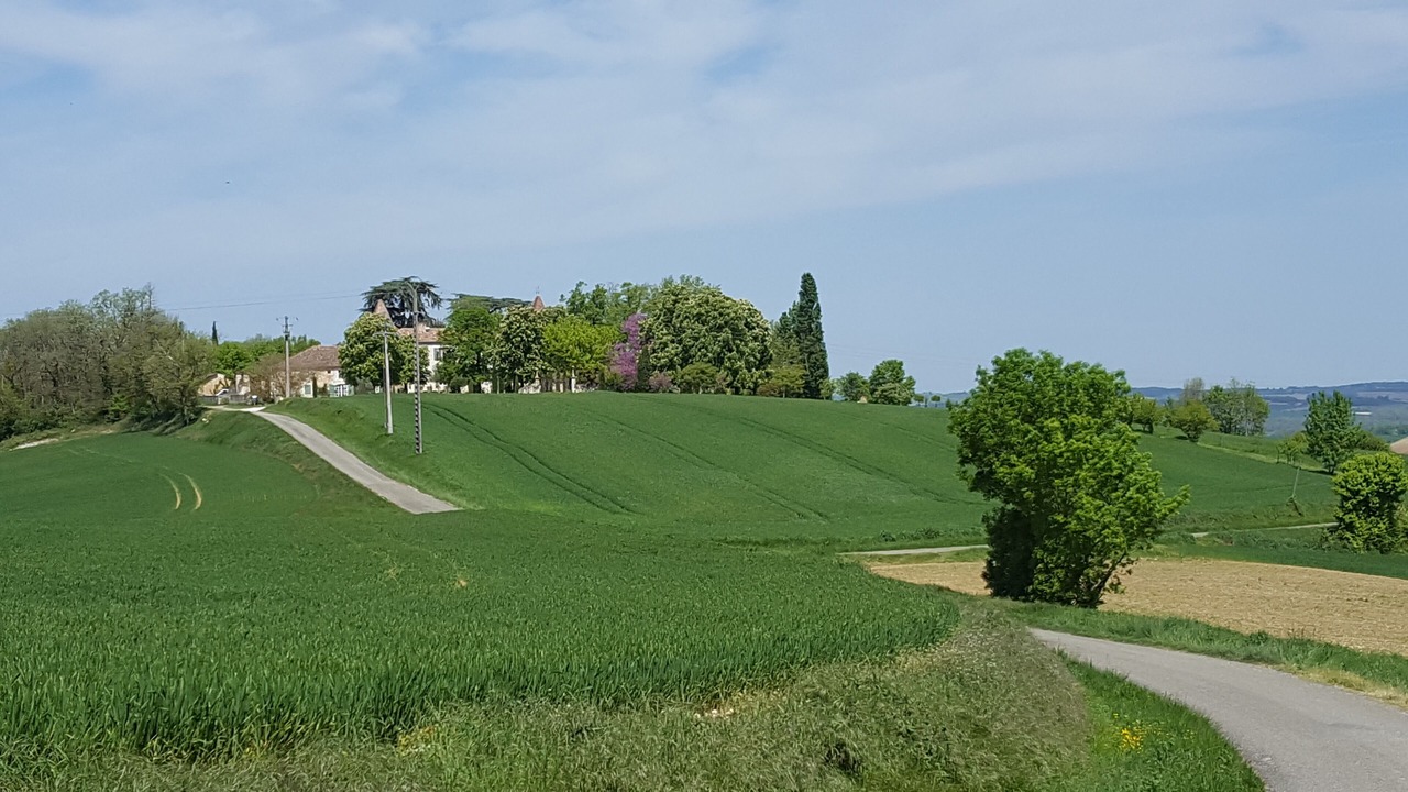 Photo of Others in Castera-Lectourois