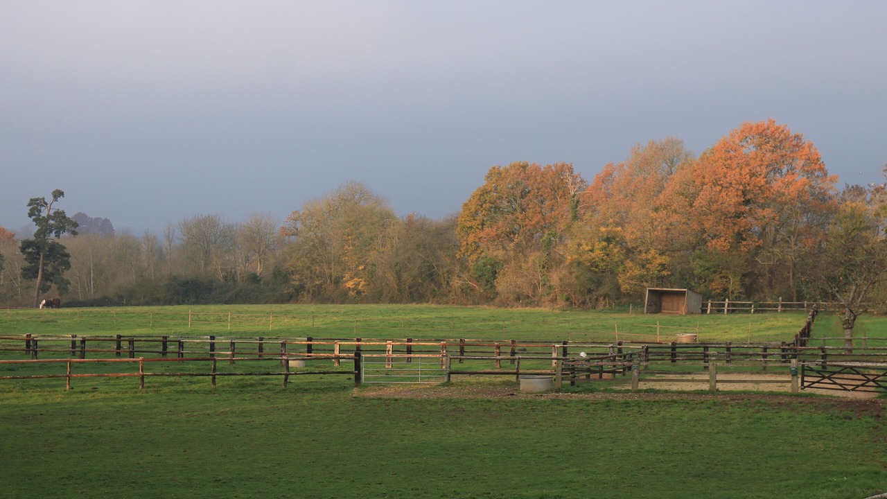 Photo of Outdoor in Semalle