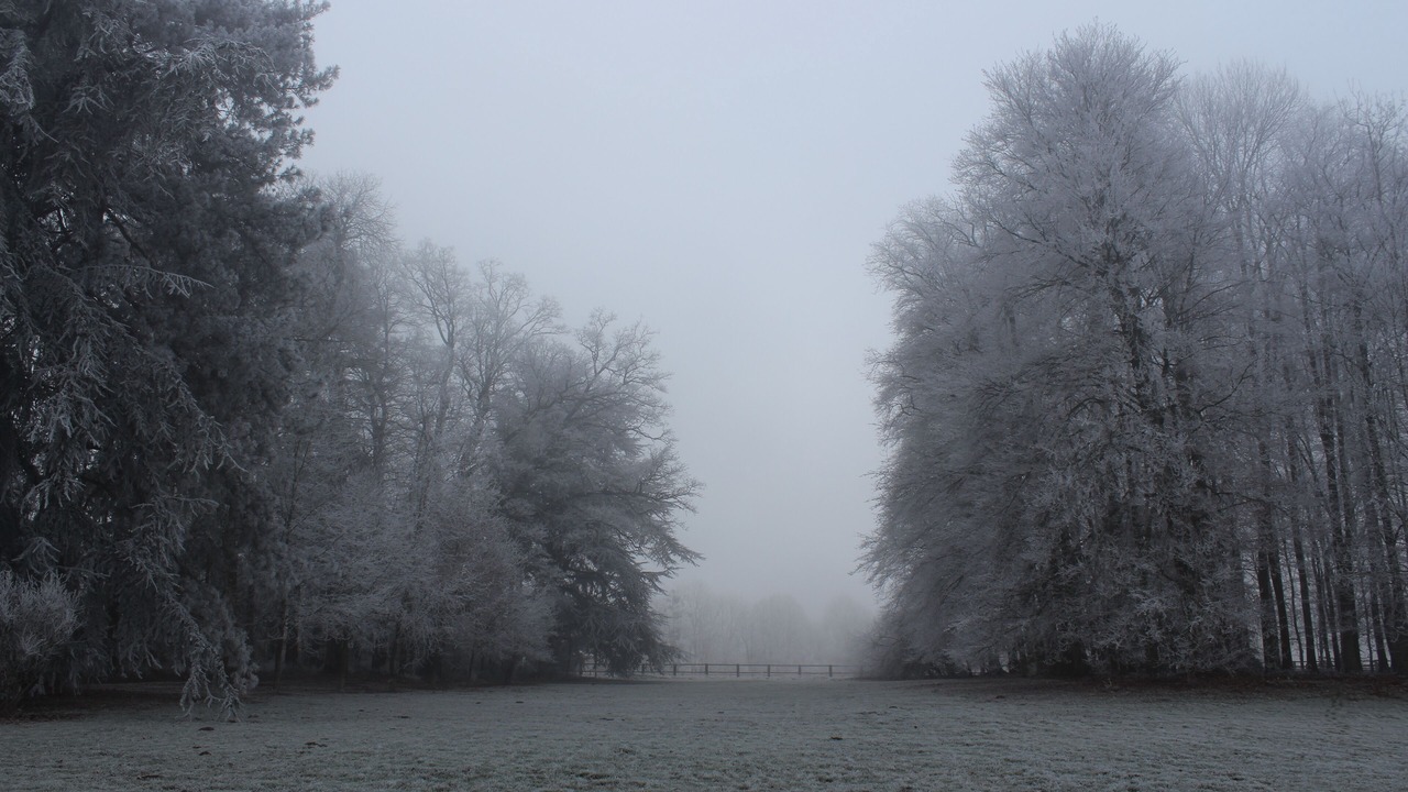 Photo of Outdoor in Semalle