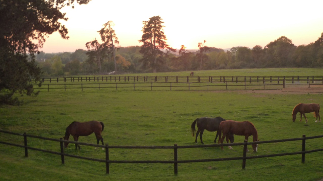 Photo of Outdoor in Semalle
