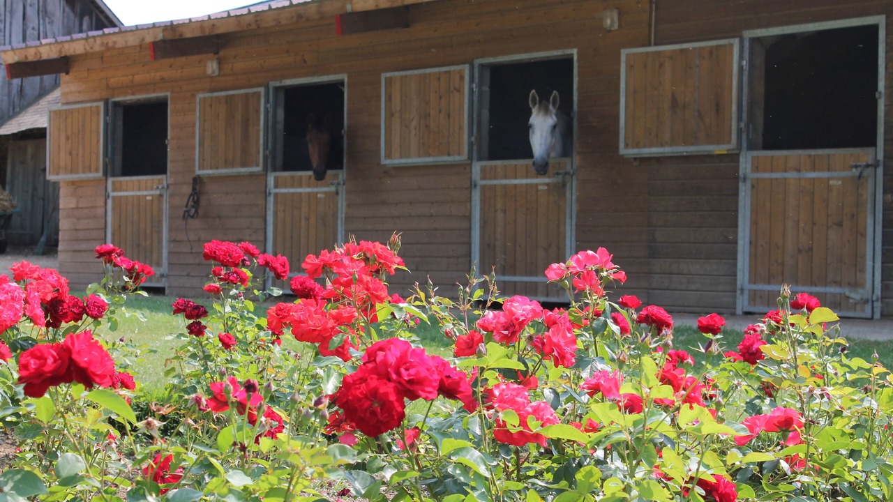 Photo of Outdoor in Semalle