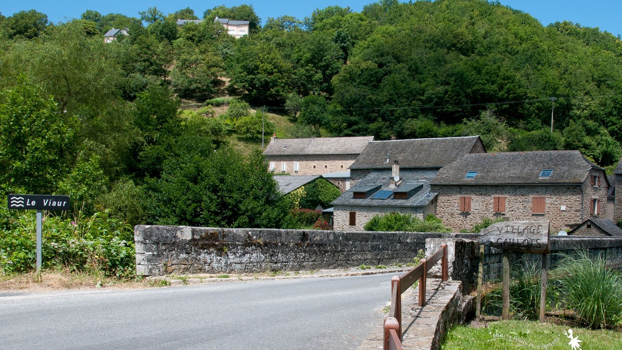 Photo of Outdoor in Flavin